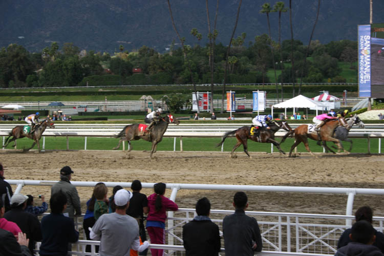 santa anita racetrack stretch run