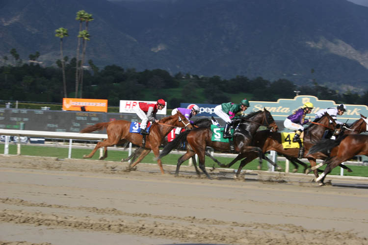 photograph of santa anita racetrack stretch horse race